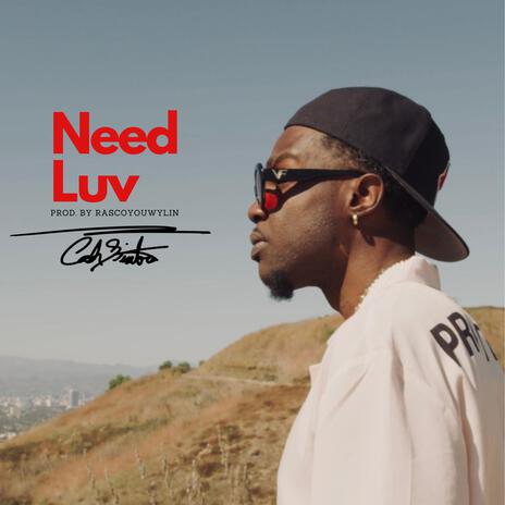 Need Luv | Boomplay Music