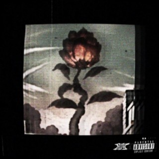 poor man's rose ft. B A N & RIPVANN lyrics | Boomplay Music