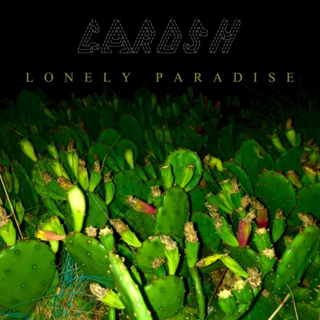 Lonely Paradise | Boomplay Music