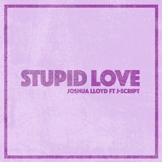 Stupid Love