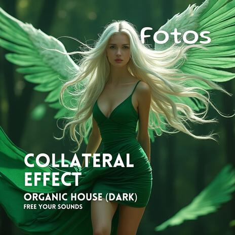 Collateral Effect | Boomplay Music