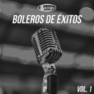 Boleros de Éxitos, Vol. 1