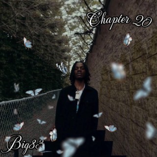 Chapter 20