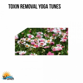 Toxin Removal Yoga Tunes