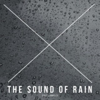 The Sound Of Rain