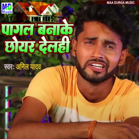 Pagal Bana Ke Chhoir Delhi | Boomplay Music