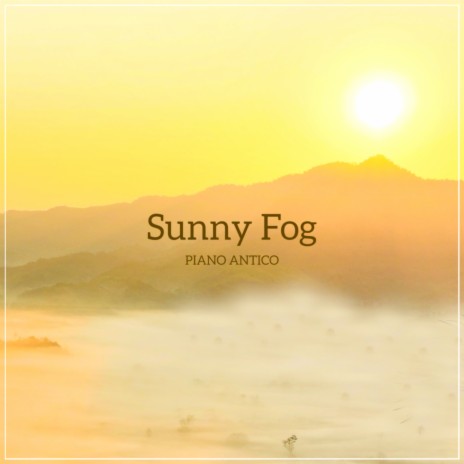 Sunny Fog | Boomplay Music