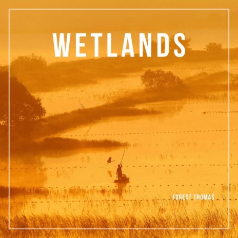 Wetlands | Boomplay Music