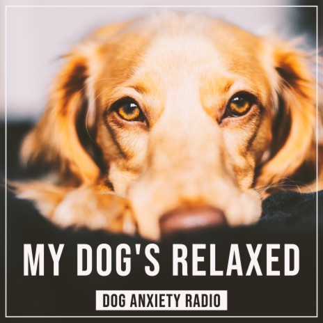 Serene And Tranquil Dog Music | Boomplay Music