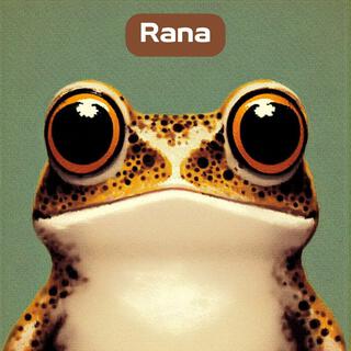 Rana