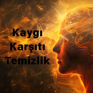 Kaygı Karşıtı Temizlik – Bilinçdışı Blokajları, Gerginliği ve Korkuyu Serbest Bırakın