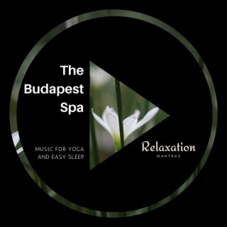 The Budapest Spa - Music for Yoga and Easy Sleep
