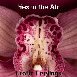 Sex in the Air: Erotic Feelings