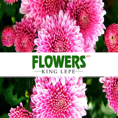 KING LEPE _Flowers | Boomplay Music