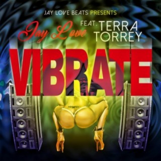 ViBrate (Radio Edit)