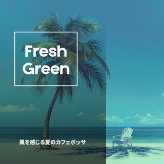 風を感じる夏のカフェボッサ