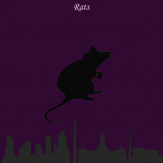 Rats