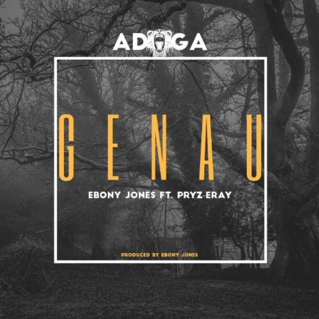 Genau (feat. Pryz-Eray) | Boomplay Music