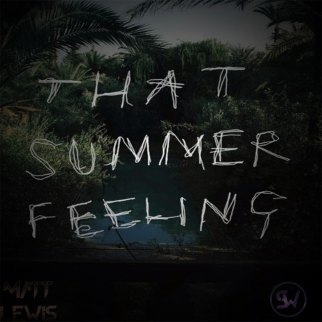 Summer feelings | Boomplay Music