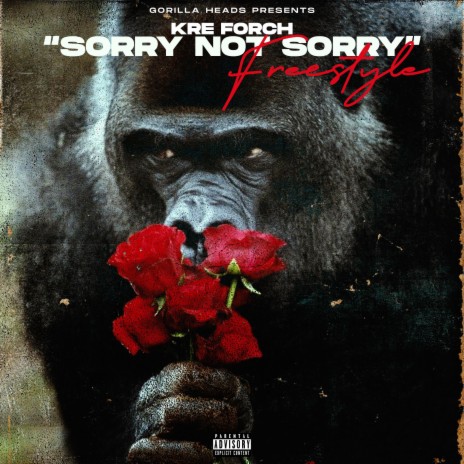 Sorry Not Sorry freestyle | Boomplay Music