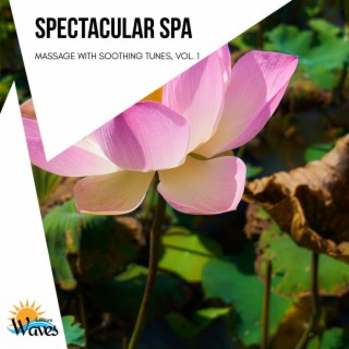 Spectacular Spa - Massage with Soothing Tunes, Vol. 1