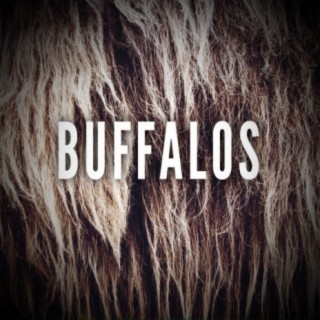 Buffalos