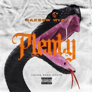 PLENTY lyrics | Boomplay Music