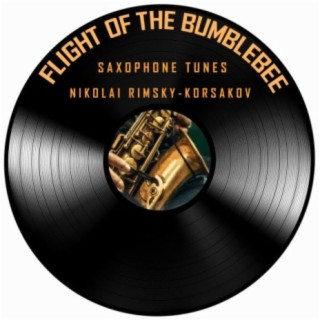 Flight of the Bumblebee (Saxophone Version)