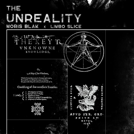 The Unreality ft. Limbo Slice | Boomplay Music