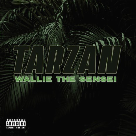 Tarzan | Boomplay Music