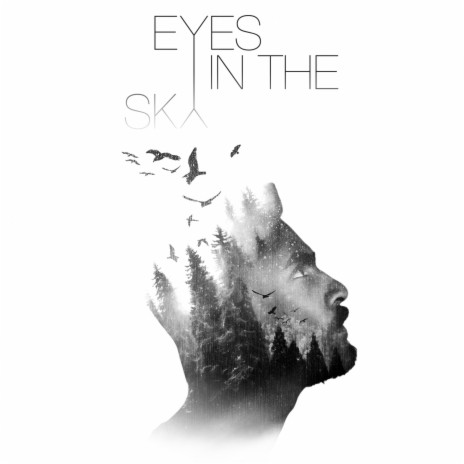 Eyes In The Sky | Boomplay Music