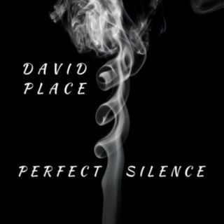 Perfect Silence