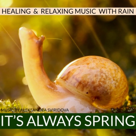 It's always spring | Boomplay Music