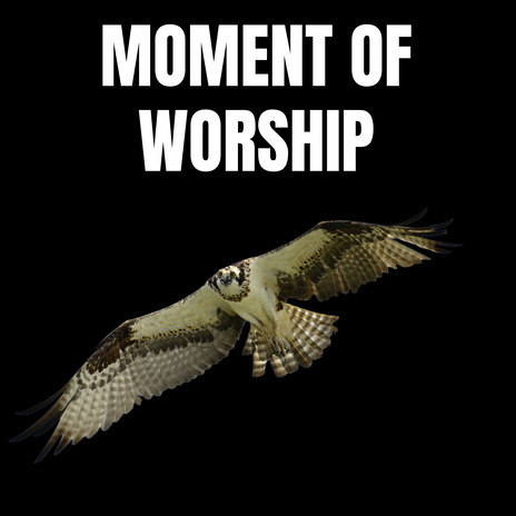 Moment of Worship V2 (Live) | Boomplay Music