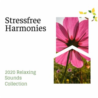 Stressfree Harmonies - 2020 Relaxing Sounds Collection