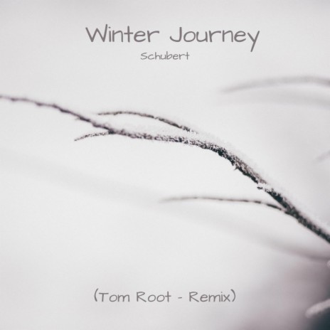 Winter Journey (Remix) ft. Shubert | Boomplay Music