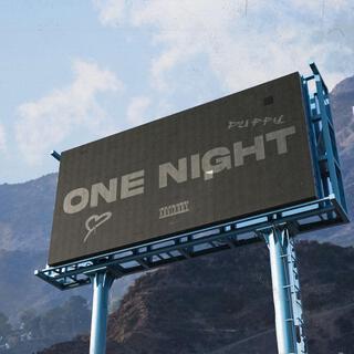 ONE NIGHT