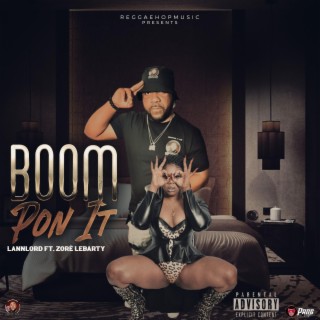 BOOM PON IT-LANNLORD