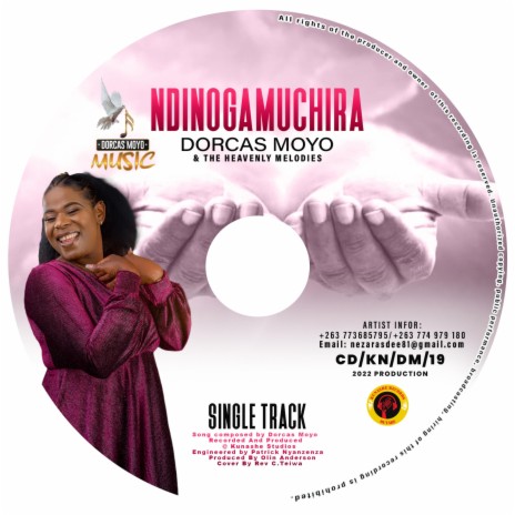 Ndinogamuchira | Boomplay Music