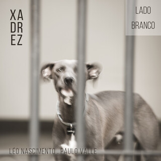 Xadrez - Lado Branco