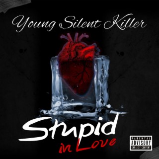 Stupid in Love