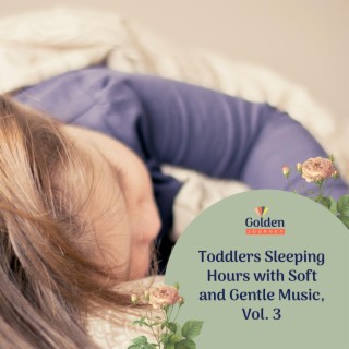 Toddlers Sleeping Hours with Soft and Gentle Music, Vol. 3