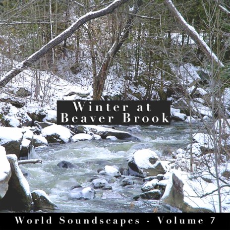 Winter at Beaver Brook, Pt. 7 | Boomplay Music