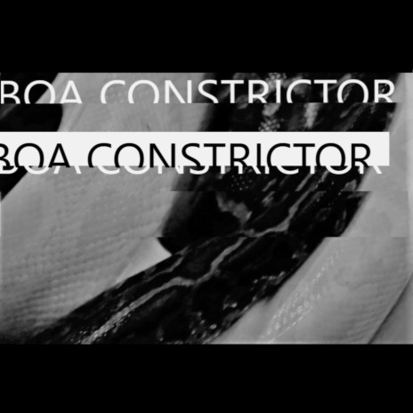 Boa Constrictor | Boomplay Music