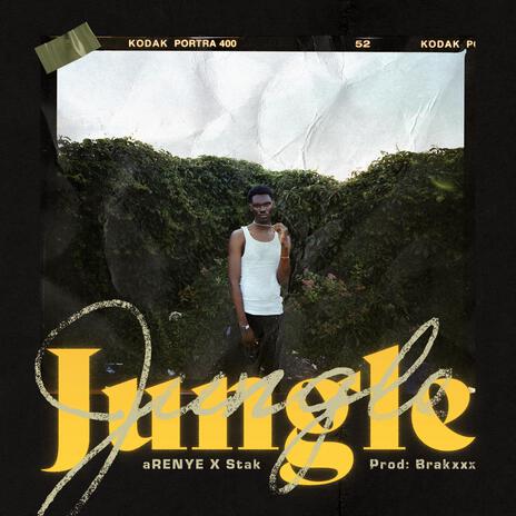 Jungle ft. Stak | Boomplay Music