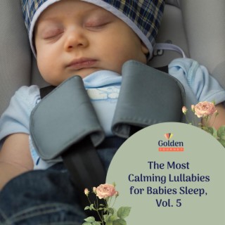 The Most Calming Lullabies for Babies Sleep, Vol. 5