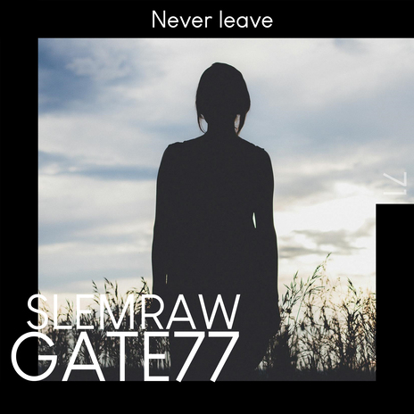 Never Leave ft. Slemraw | Boomplay Music