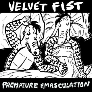 Velvet Fist