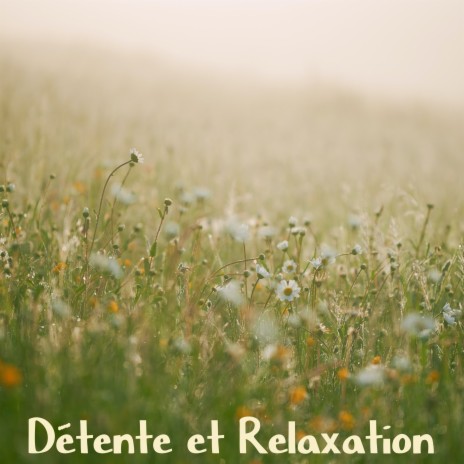 In a Relaxed State of Mind ft. Dormir Bien & Música Relajante
