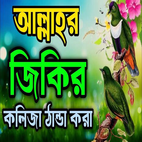 আল্লাহর জিকির কলিজা ঠান্ডা করা ll New jikir #beautiful #jikir #nice #jikir #chamatkar #jikir #jikir | Boomplay Music